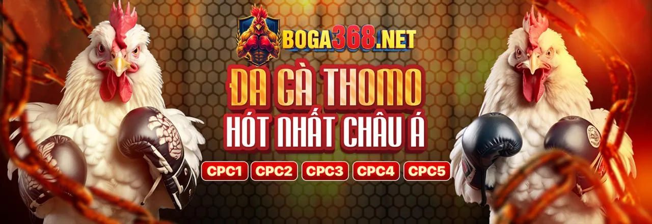 Hình ảnh giới thiệu 888vi cho người mới