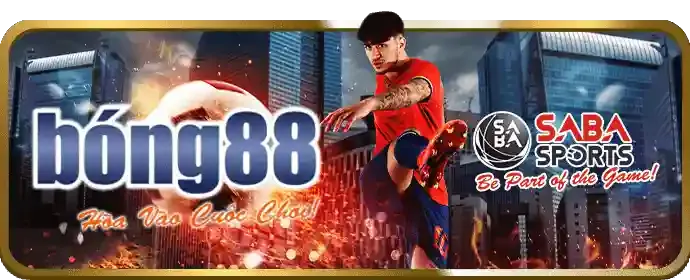 Hỗ trợ qua Live Chat 888vi